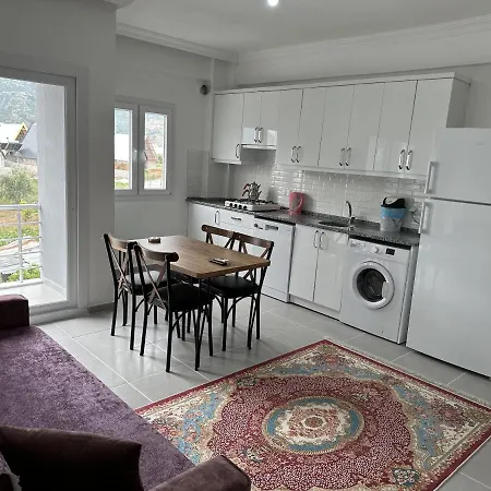 Newton Apart Апарт-отель Фетхие